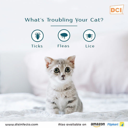 Clearkill Spot On for Kittens and Cats 8 weeks or older, Tick & Flea Treatment , 0.50ml (Fipronil S-Methoprene Ectoparasiticide)