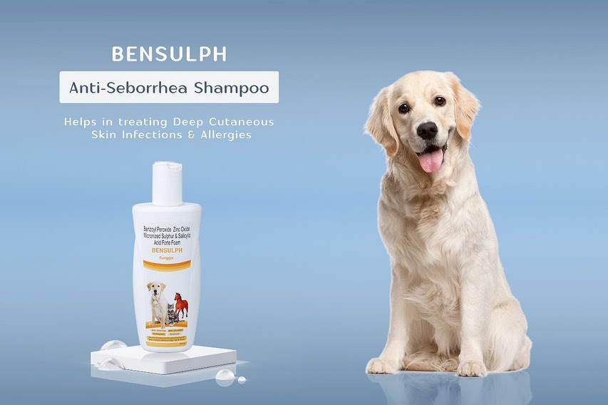 Bensulph Shampoo, Anti Seborrhea Microbial for Dog, Cat and Horse  (Benzoyl Peroxide, Zinc Oxide, Micronized Sulphur, Salicylic Acid, Forte Foam), 200 ml