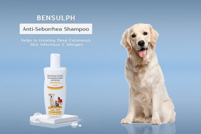 Bensulph Shampoo, Anti Seborrhea Microbial for Dog, Cat and Horse  (Benzoyl Peroxide, Zinc Oxide, Micronized Sulphur, Salicylic Acid, Forte Foam), 200 ml