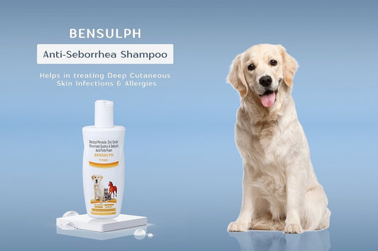 Bensulph Shampoo, Anti Seborrhea Microbial for Dog, Cat and Horse  (Benzoyl Peroxide, Zinc Oxide, Micronized Sulphur, Salicylic Acid, Forte Foam), 200 ml