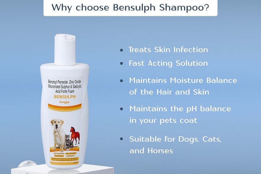 Bensulph Shampoo, Anti Seborrhea Microbial for Dog, Cat and Horse  (Benzoyl Peroxide, Zinc Oxide, Micronized Sulphur, Salicylic Acid, Forte Foam), 200 ml
