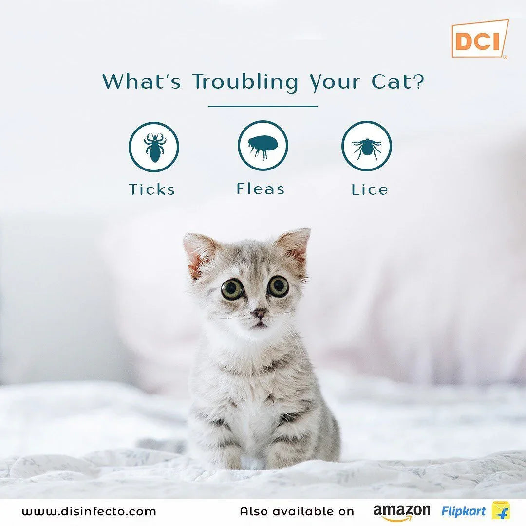 Clearkill Spot On for Kittens and Cats 8 weeks or older, Tick & Flea Treatment , 0.50ml (Fipronil S-Methoprene Ectoparasiticide)