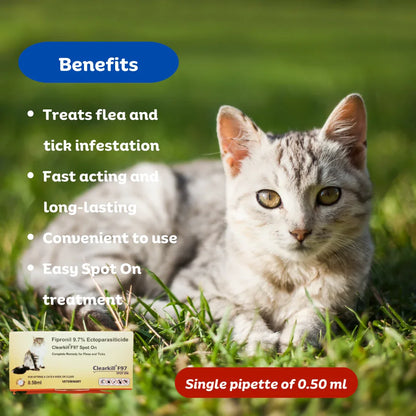 Clearkill F97 Spot On for Kitten and Cats, Pipette Of 0.50ml ,Treatment of Fleas and Ticks (Fipronil Spot On)