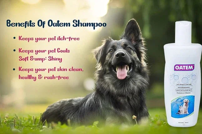 OATEM Oatmeal Pet Shampoo with Menthol & Salicylic Acid – Gentle Anti-Itch Formula for Dogs, Puppies & Cats, 200ml